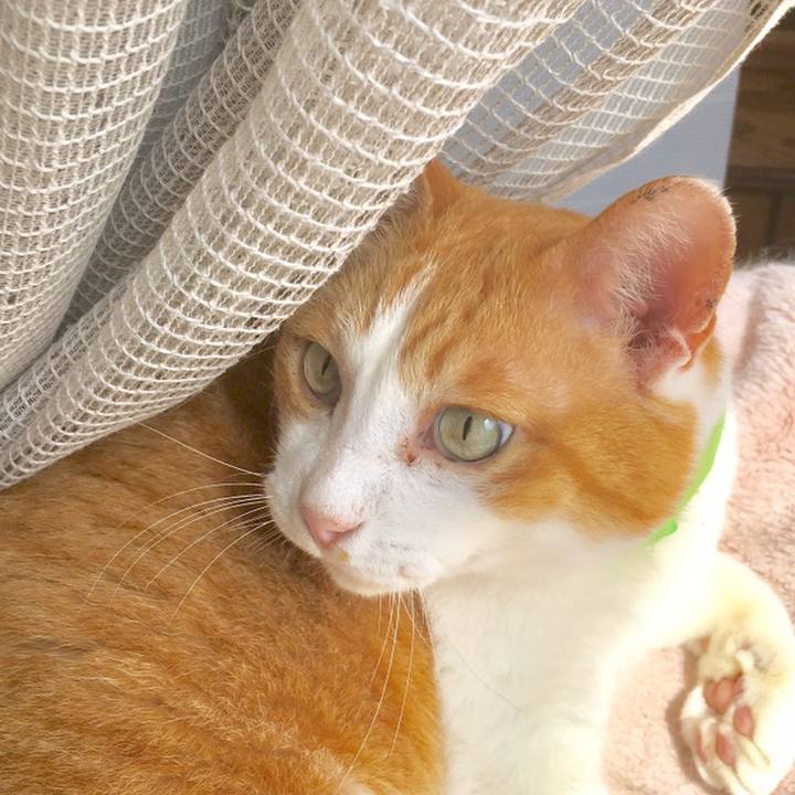 F0b6e598 afeb 4c06 8fa0 aebc6d9baa4e 1558561318694