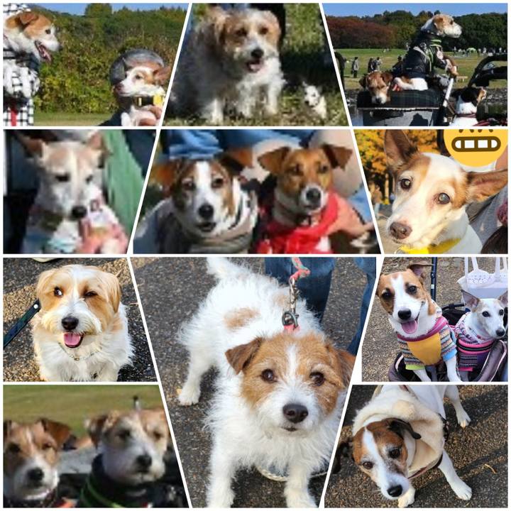 F0b71046 961e 422f bea0 ee04a9641d8d 1668947074254