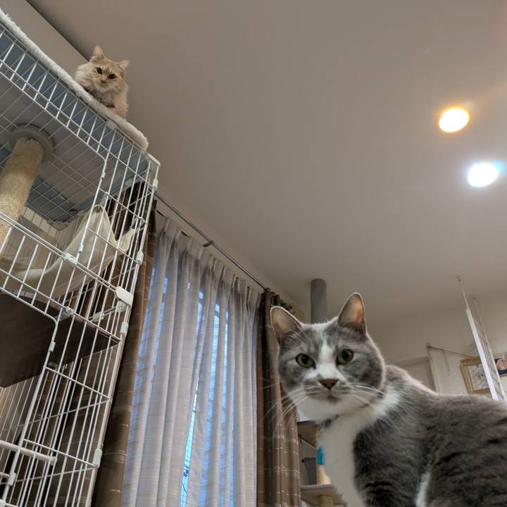 F0b71c8c 092e 499c b998 1b7bbce9049e 1740924091970