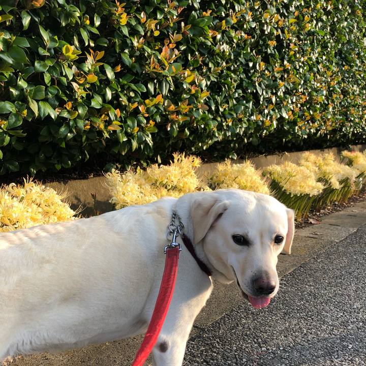 F0b73456 6837 44d8 9767 12ec03f64685 1601676497248