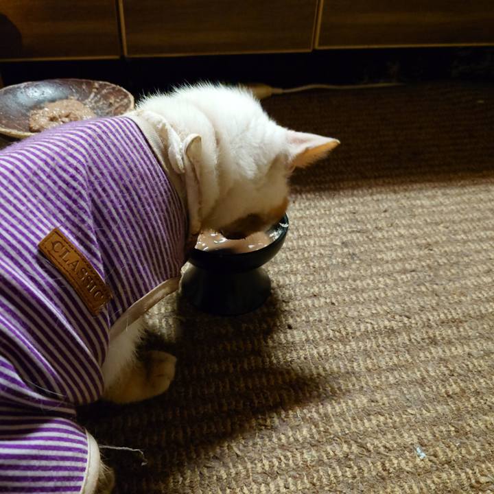 F0b74f8c d762 4936 b20a dce2c7f1b5b5 1774010376482