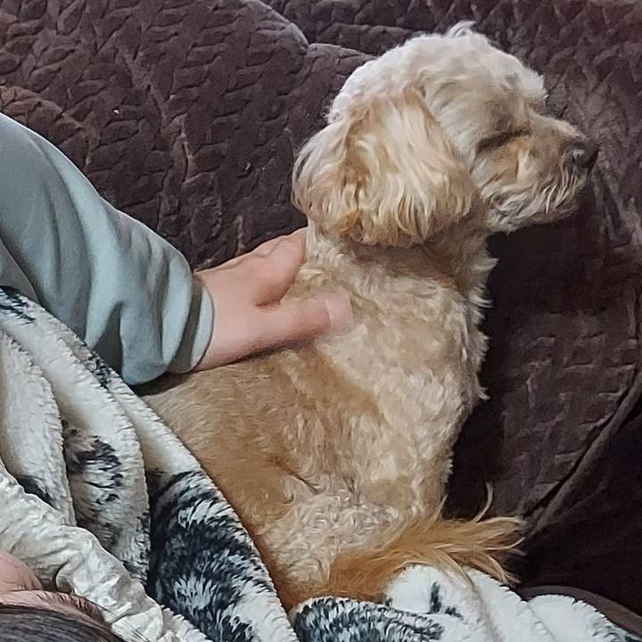 F0b77f9b 8583 4bd7 b2a4 3339c0ac3aa0 1646522050564