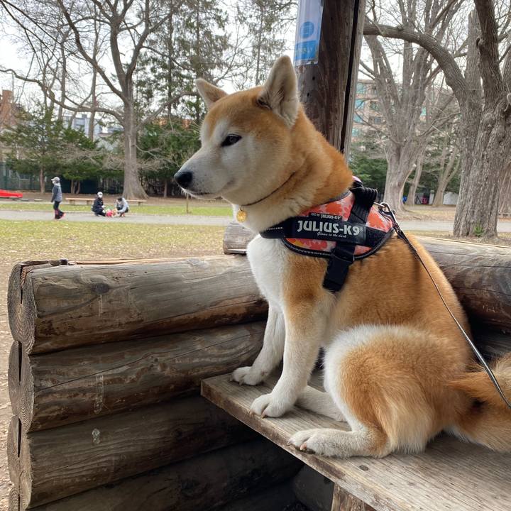 F0b7856e f9fc 42f3 b7b4 a71330435c60 1618363957785