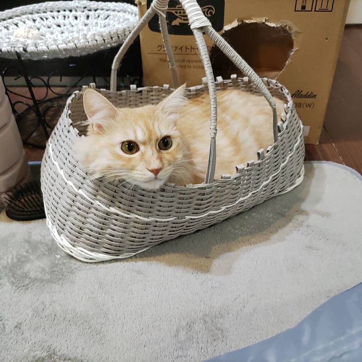 F0b797df fa5f 495f bd6a e3148c854440 1694343201135