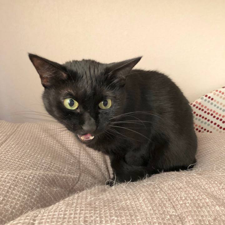 F0b7c11f b38a 4002 863c 28dff6f8ccca 1553080584926