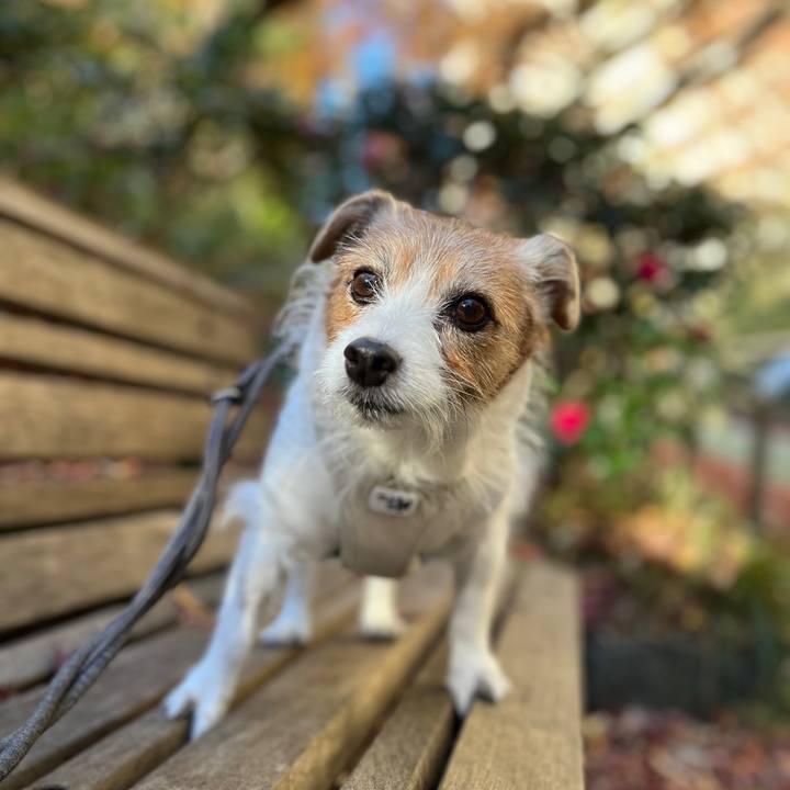 F0b7c5c9 c320 41d1 85ed de6b7a17c6e9 1736506037659