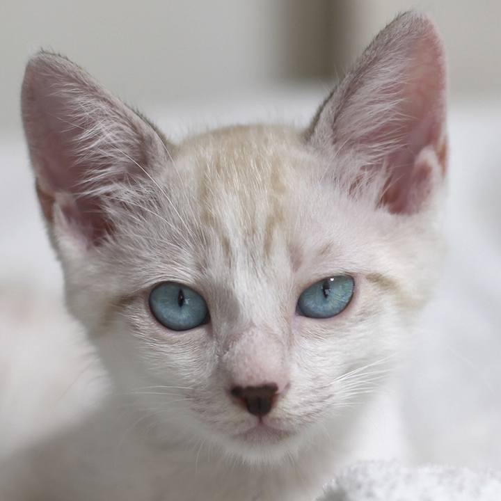 F0b7c887 1360 4552 bdea 802662f083b5 1600988564193