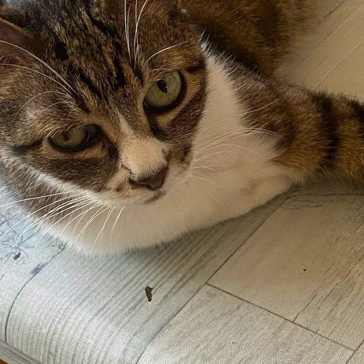 F0b814ca 5b00 49e1 b9d8 5c9e7bad89af 1689555801458