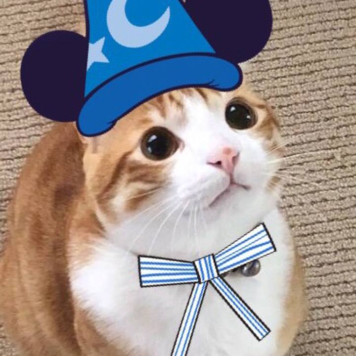 F0b81d36 9669 4b32 a8a9 f3ddc8b9f14f 1544362850040