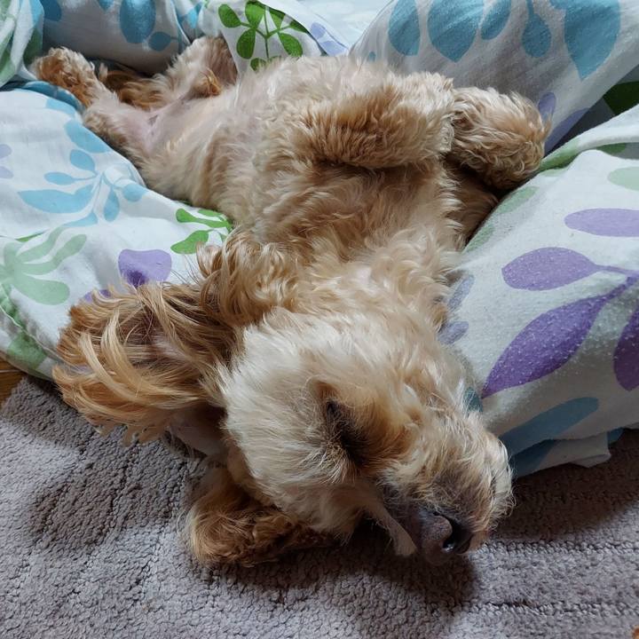 F0b827b1 7734 4681 a649 963422d19808 1682347655317