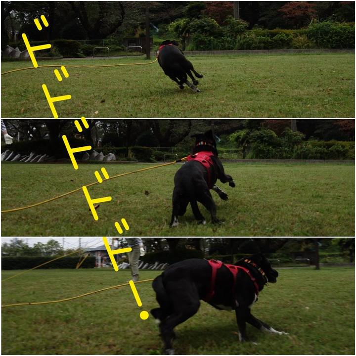 F0b82cff ea9a 46ba a27e 960eca99f17b 1601769062372