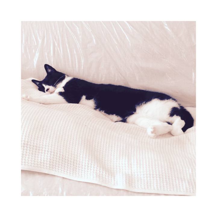 F0b82e5c dfcd 42f0 b3ea 736007a7b41c 1668679238036