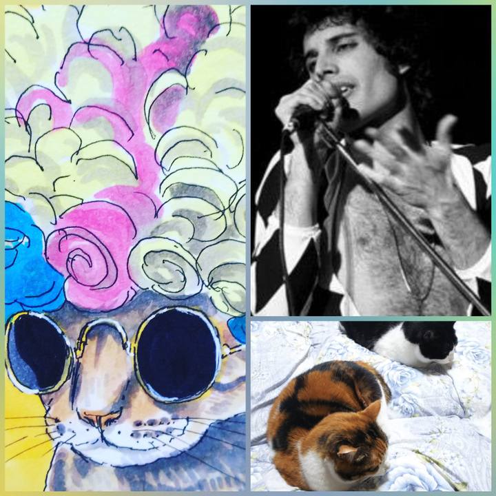 F0b83154 0882 4a0e 8463 5c8224c7da6e 1548074208848