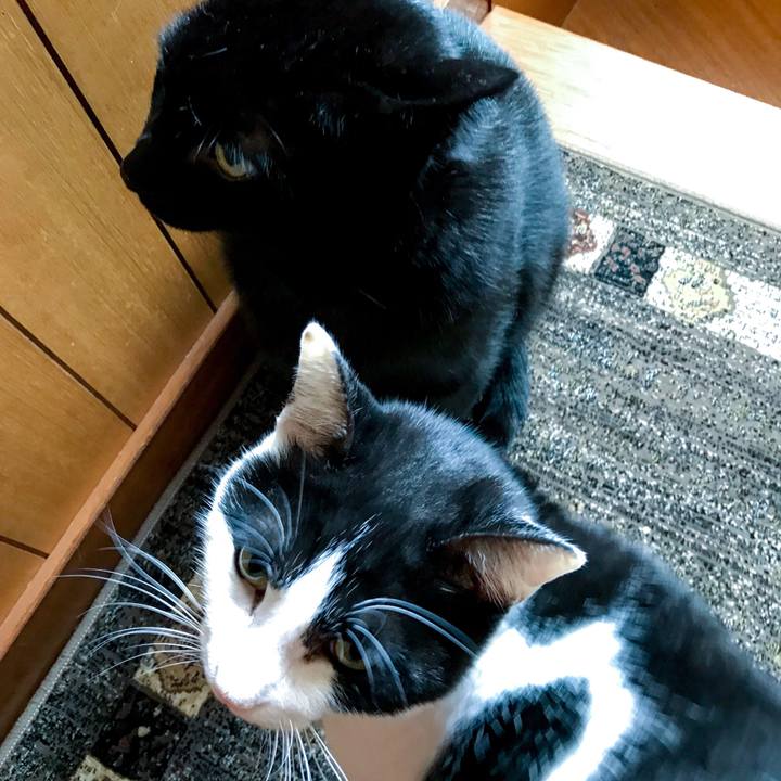 F0b83734 f425 4d2c 929a b644d00caef8 1511142197410