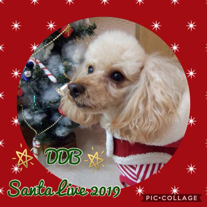 F0b85b4b 5ace 42b2 8682 3339f7dfca47 1576995099285