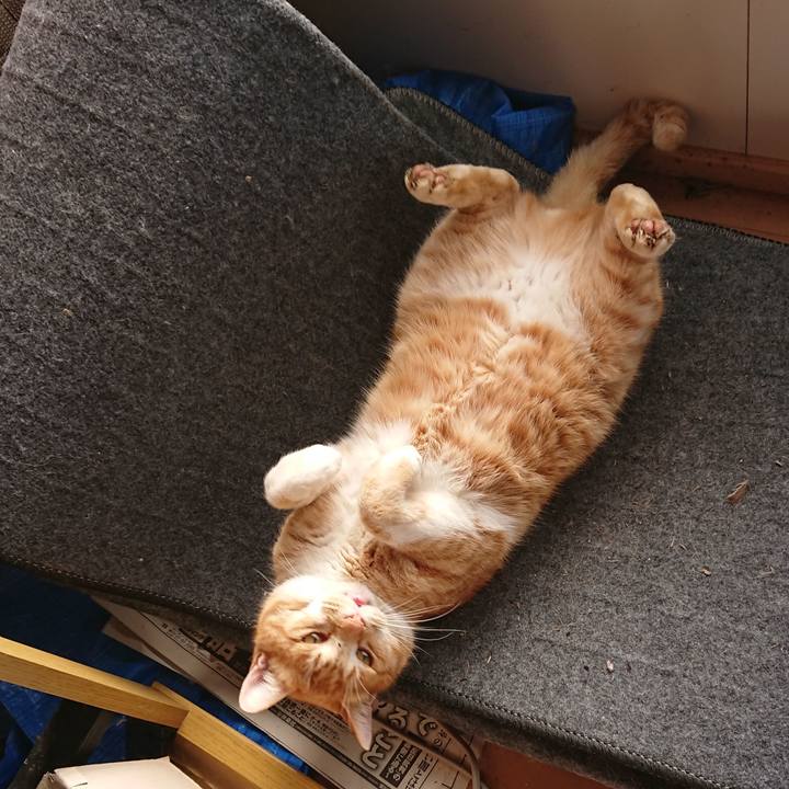 F0b876ec 96f8 4ea5 9413 e8e65b6061de 1580006150300