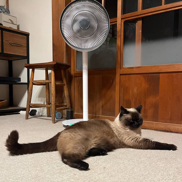 F0b88e5b 14fa 43e2 97b1 920010814247 1656673774814