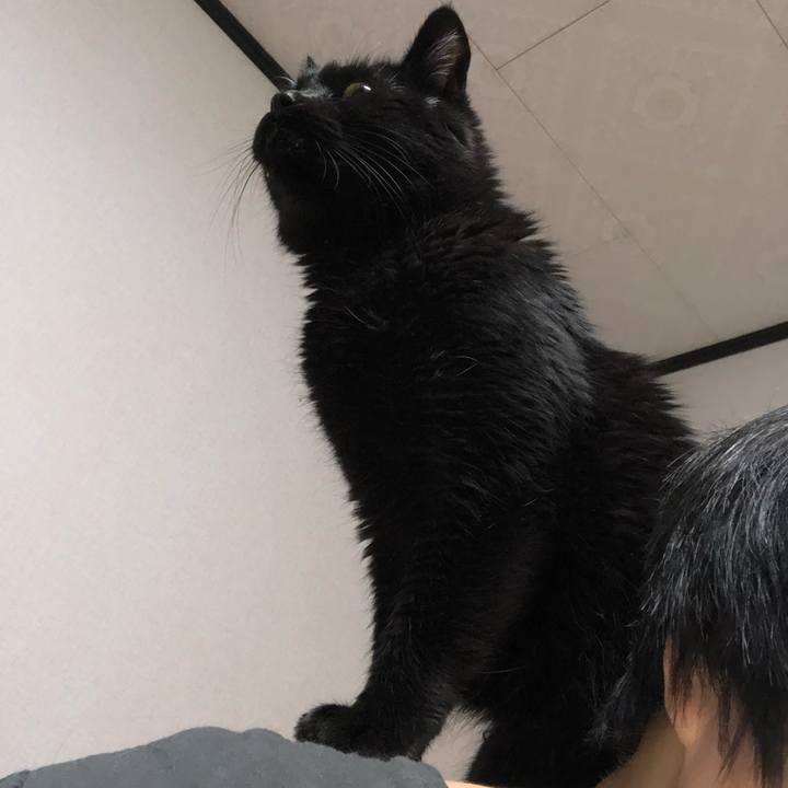 F0b8d8c3 9125 44e1 9de5 cefe07d2ffc5 1604065098694