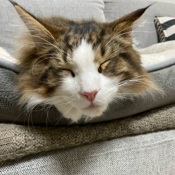 F0b8e056 4b4c 4a55 830c f902a5887b03 1639831670559