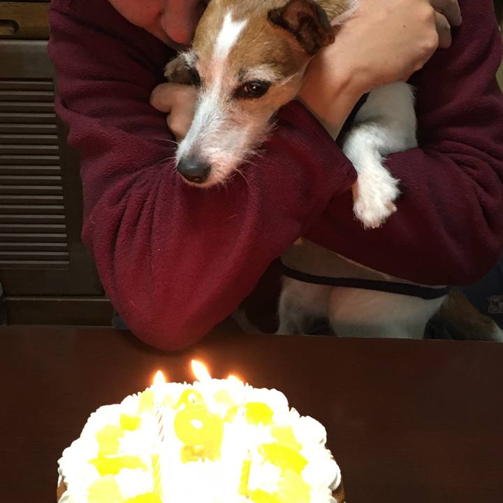 F0b921e6 5e1c 427d afb8 f697a325e2de 1606865434315