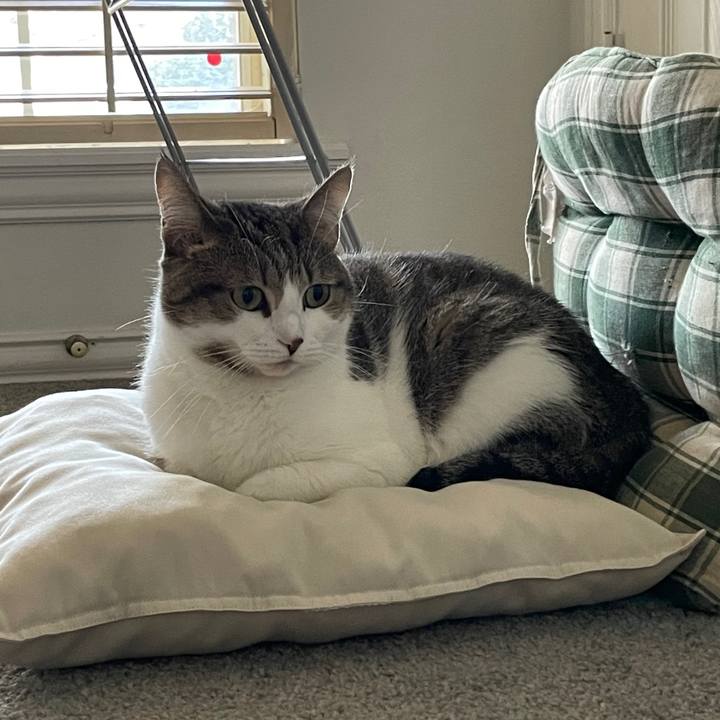 F0b9303e 8685 4a9d ad9d 6d743e7f57a5 1694227697329