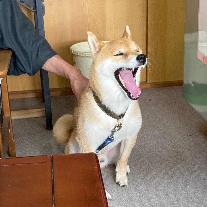 F0b93b60 84b8 4f96 a032 82dbe2ac8cd5 1625036724194