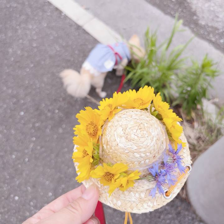 F0b9d1c9 a718 4ad2 8481 476608152544 1686303963228