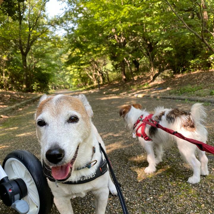 F0ba0783 d90b 4da7 a9f8 e28706041a4a 1632386670125