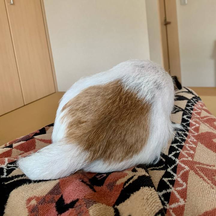 F0ba1fda b20b 458a 8d5f 1a4055f48185 1615133215203