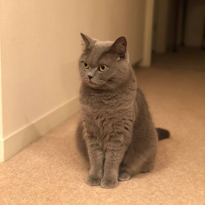 F0ba7cb6 feb8 4964 998c 8c47fe6f9576 1523790112003