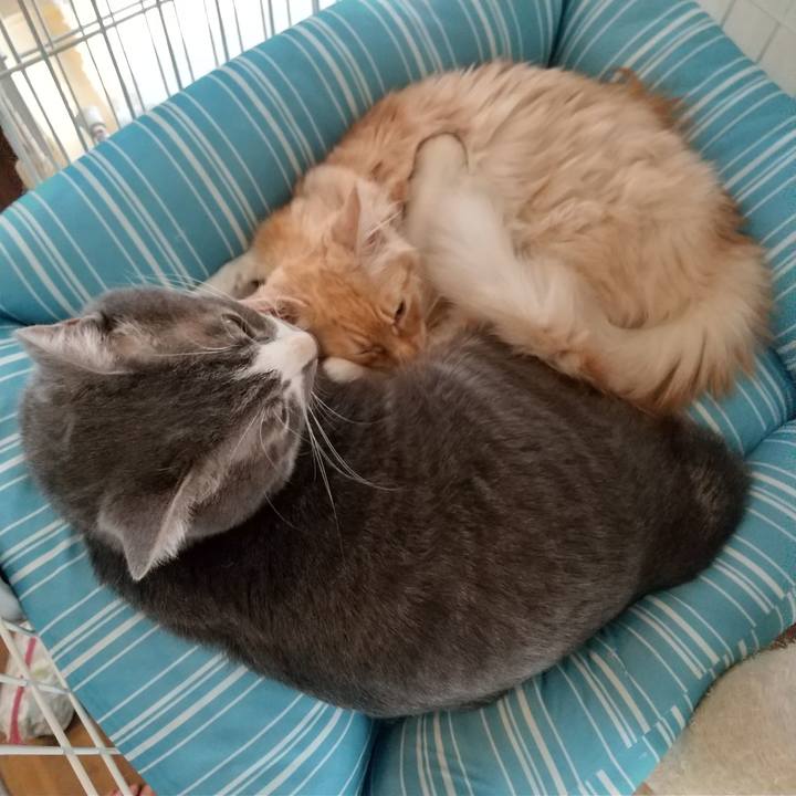 F0bac622 b293 482d b914 231baa1444f3 1612250152177