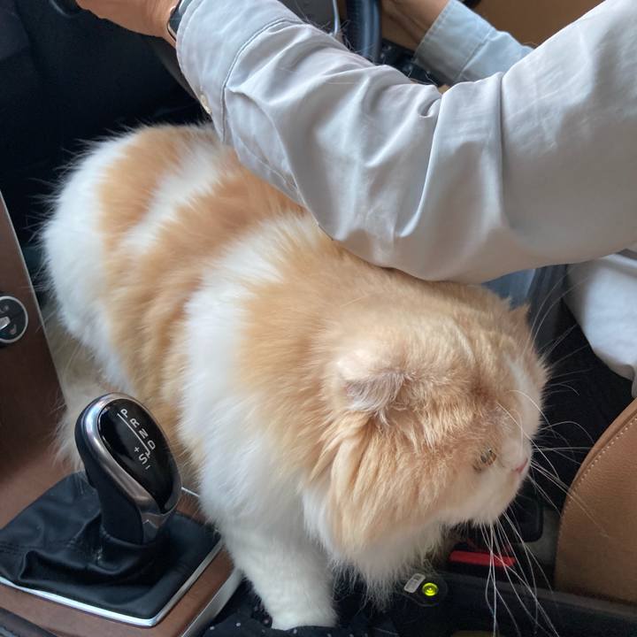 F0badfe2 f12f 4e5f 9826 14494573eb4c 1655284015791