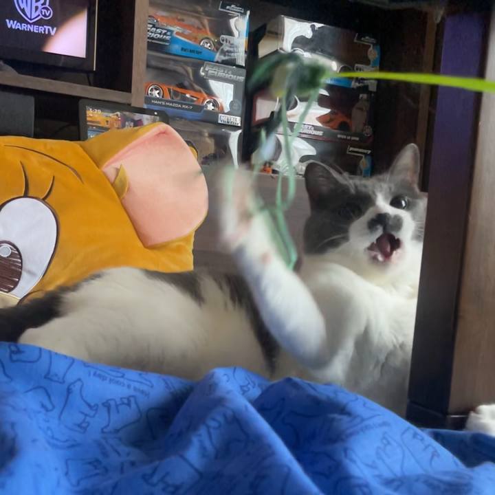 F0bb2b12 a8bd 4e18 876b d2bd6d620773 1754634706410