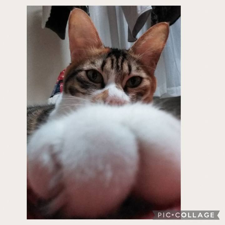 F0bb72d7 29c8 4cdd 9afa 38939107e943 1668764490245