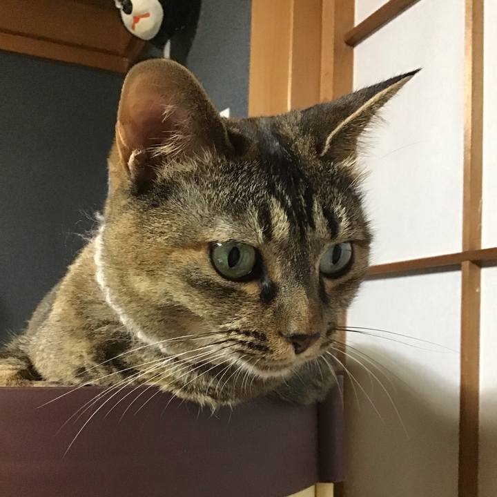 F0bb8134 18f6 4b8f 8456 28d7d7bf6b6d 1690805051580