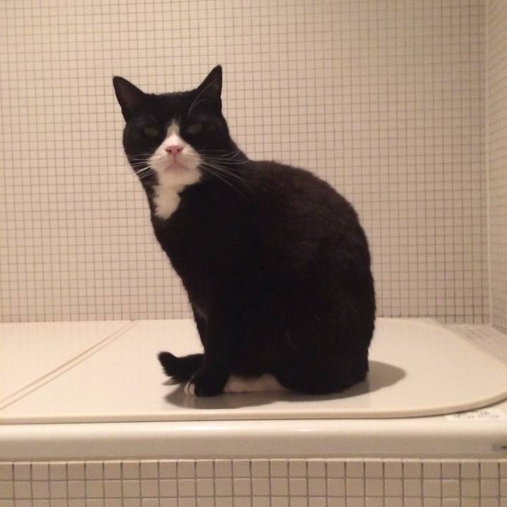 F0bbcdcf 8068 4929 94f2 593a244f6b87 1523190185051