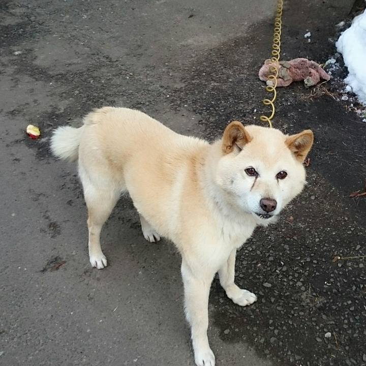 F0bbdf51 534c 4aed a4ed ef74ef766482 1517485346269