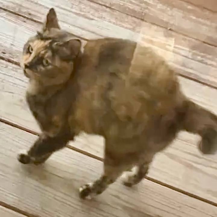 F0bbe9ba 5ddb 47ba aca3 2c544b3b5b0c 1731922954542