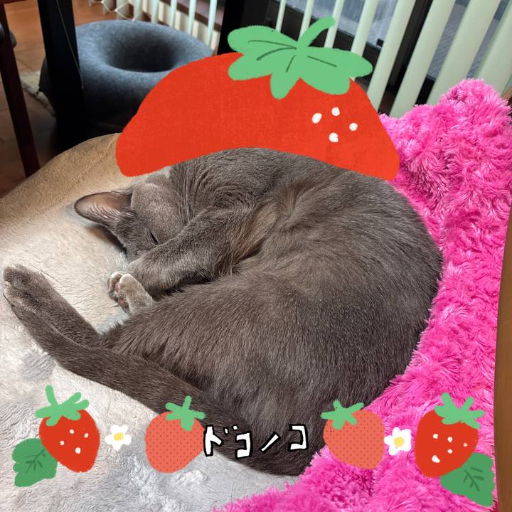 F0bbefb5 69ef 4e02 be14 38cce01fda39 1775206312072