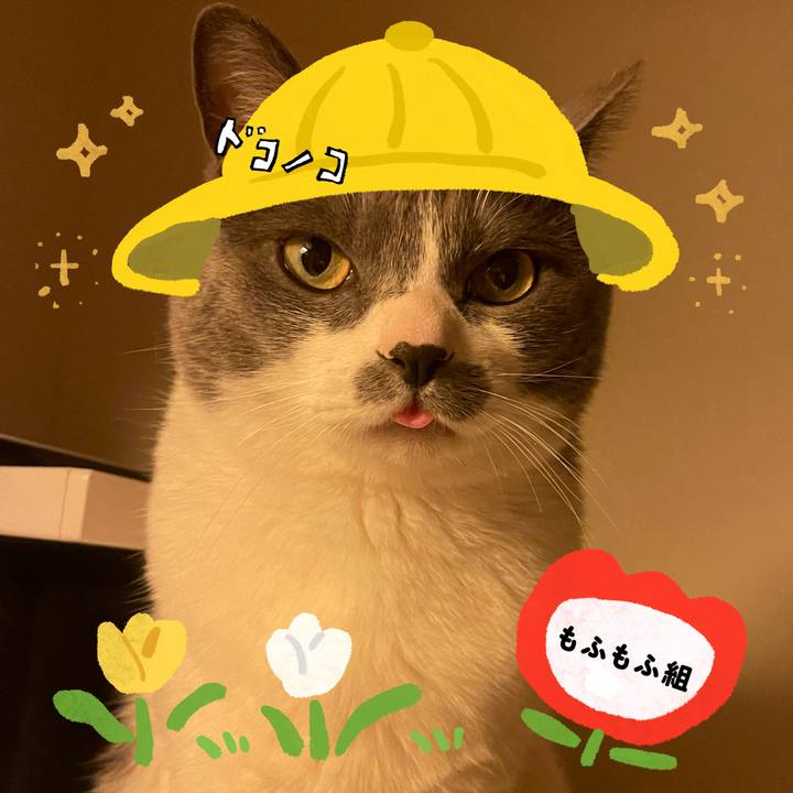 F0bbfa23 45f4 4080 bf33 6f24deaaf4f2 1712363656648