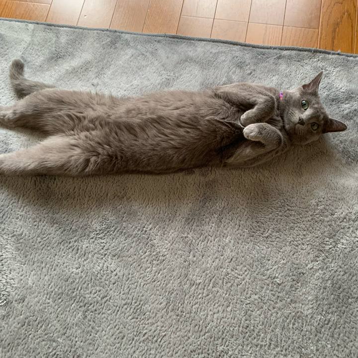 F0bbfe81 e95b 4e32 8a15 a861c106597b 1629600775440