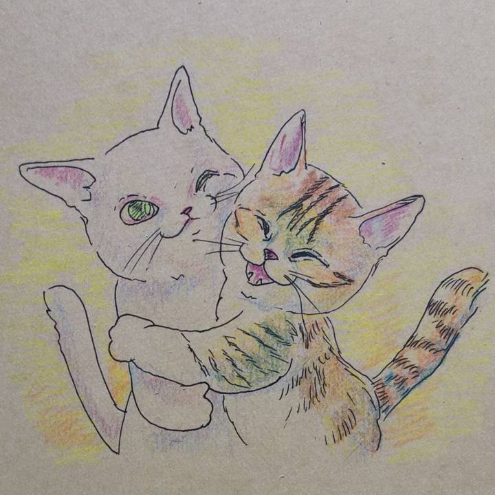 F0bc002b 82c8 4ba7 8dbb 549a2cd45654 1743214857473