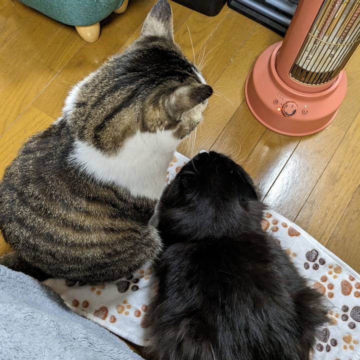 F0bc64f8 eea9 47ef 8ce0 62a5b140b693 1674893322881