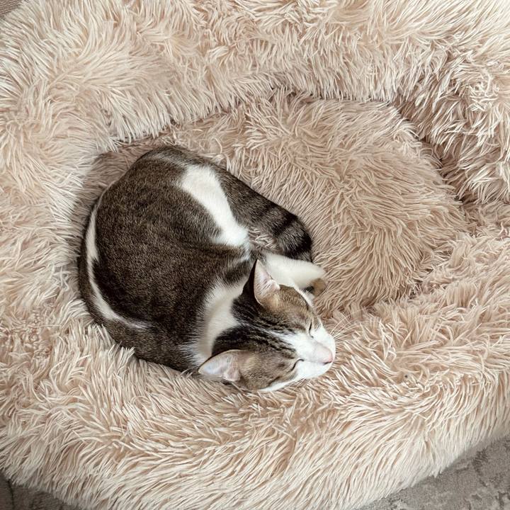 F0bc6650 8cf2 4c30 bf9e c70abb1095f2 1772089831445