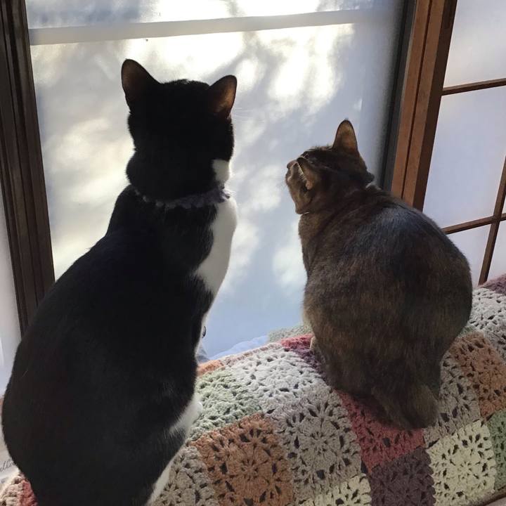 F0bc674a 5390 4658 8441 b9b78565ad5f 1642806550576