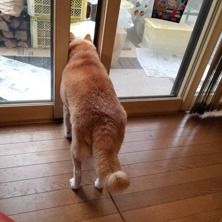 F0bc6cf6 3da4 44db 9f27 68ef507b599f 1701646659633