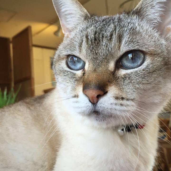 F0bc89db c821 4d80 808c 275d9f0f4a4d 1527145483884