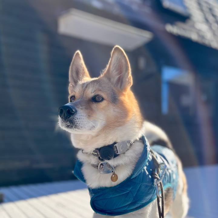 F0bcb3f7 8803 4a96 b5b0 90e1f30aa60c 1767662623076