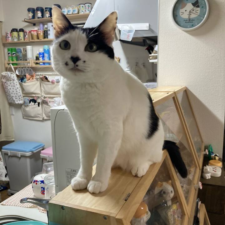 F0bcefa3 5621 4a39 b944 16e7fe77cba6 1774041911554