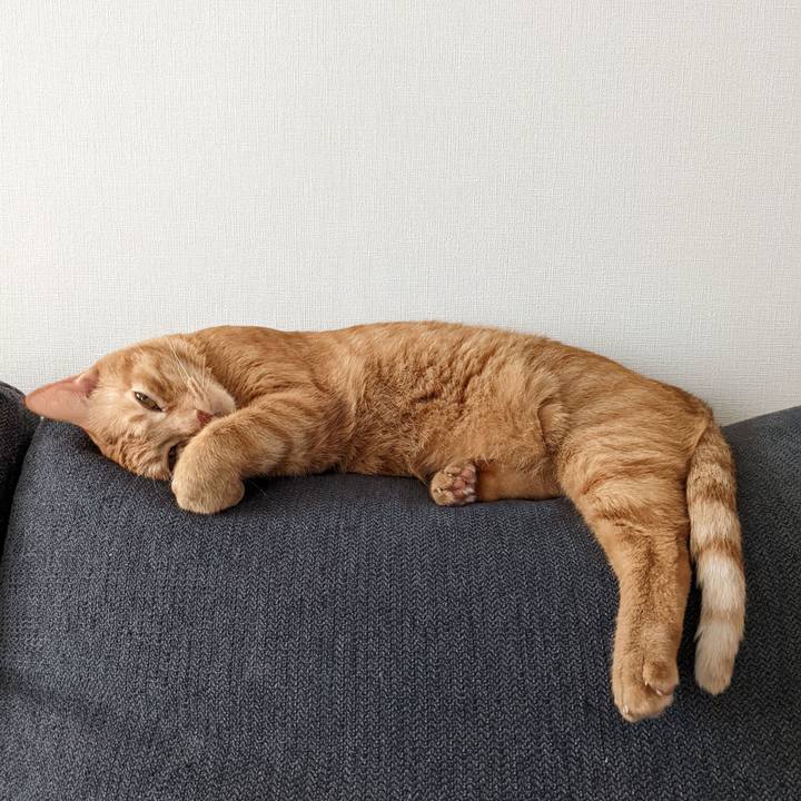 F0bcf5c7 8407 4ce1 96ea cd1f175f2ac2 1660972628631